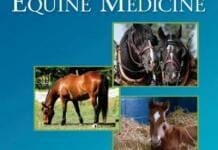 Download Robinson’s Current Therapy in Equine Medicine Volume 7 PDF