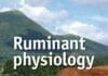ruminant physiology pdf