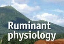 ruminant physiology pdf