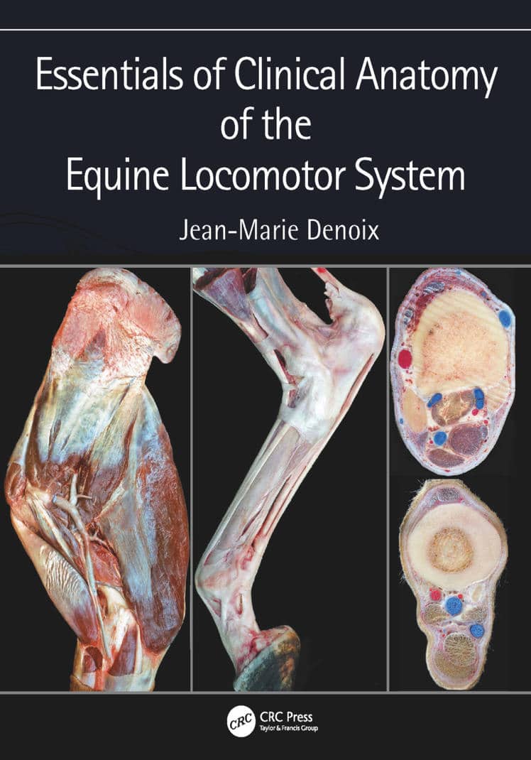 Essentials Ofย Clinical Anatomy Of The Equine Locomotor System Pdf Download