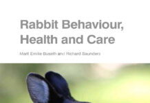 Rabbit Behaviour, Health and Care
