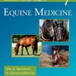 Robinson’s Current Therapy in Equine Medicine 7th Edition Download Robinson’s Current Therapy in Equine Medicine Volume 7 PDF