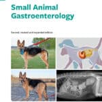 Small Animal Gastroenterology 2nd Edition Small Animal Gastroenterology PDF