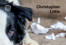 The Dog Care Handbook, Things I Wish My Vet Had Told Me The Dog Care Handbook, Things I Wish My Vet Had Told Me