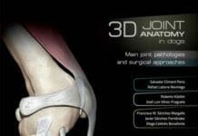 3D Joint Anatomy In Dogs: Main Joint Pathologies and Surgical Approaches