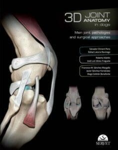 3D Joint Anatomy In Dogs: Main Joint Pathologies and Surgical Approaches