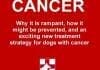 Canine Cancer: Why It Is Rampant, How to Prevent It, and an Exciting New Strategy for Treating Dogs With Cancer PDF