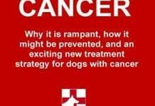 Canine Cancer: Why It Is Rampant, How to Prevent It, and an Exciting New Strategy for Treating Dogs With Cancer PDF