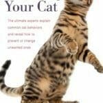 Decoding Your Cat PDF