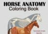 horse anatomy coloring book pdf, horse anatomy book