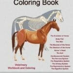 Horse Anatomy Coloring Book PDF