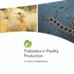 Probiotics-in-Poultry-Production-Concept-and-Applications