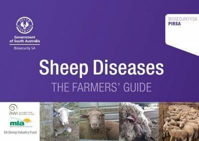 Sheep Diseases: The Farmers’ Guide