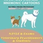 Small Animal Infectious Diseases, Mnemonic Cartoons pdf