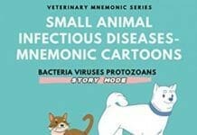 Small Animal Infectious Diseases, Mnemonic Cartoons pdf