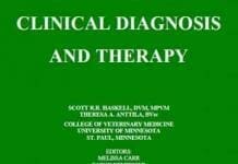 Small Ruminant Clinical Diagnosis and Therapy PDF