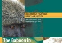The Baboon in Biomedical Research PDF