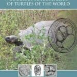 The Biology and Identification of the Coccidia (Apicomplexa) of Turtles of the World PDF