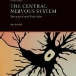 The Central Nervous System 4th Edition PDF