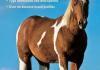 The Field Guide to Horses PDF