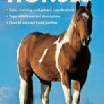 The Field Guide to Horses PDF