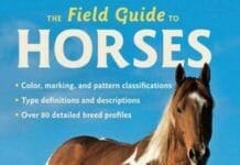 The Field Guide to Horses PDF