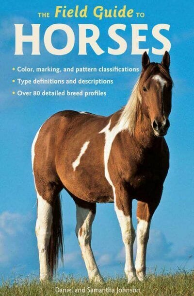 The Field Guide to Horses PDF