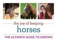 The Joy of Keeping Horses: the Ultimate Guide to Keeping Horses on Your Property PDF