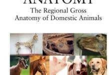 Veterinary Gross Anatomy PDF