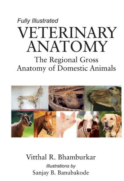Veterinary Anatomy: The Regional Gross Anatomy of Domestic Animals PDF |  Vet eBooks