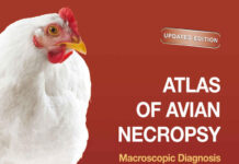 Atlas of Avian Necropsy: Macroscopic Diagnosis Sampling, Updated Edition