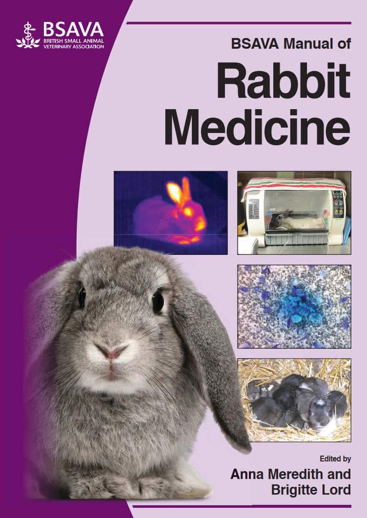 Bsava Manual Of Rabbit Medicine Pdf Download