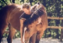 Equine-Assisted Counseling and Psychotherapy, Healing Through Horses Equine-Assisted Counseling and Psychotherapy, Healing Through Horses
