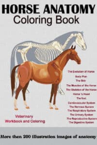 Horse Anatomy Coloring Book Horse Anatomy Coloring Book