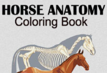 Horse Anatomy Coloring Book