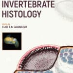 Invertebrate Histology Invertebrate Histology