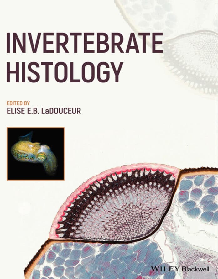 invertebrate-histology Invertebrate Histology