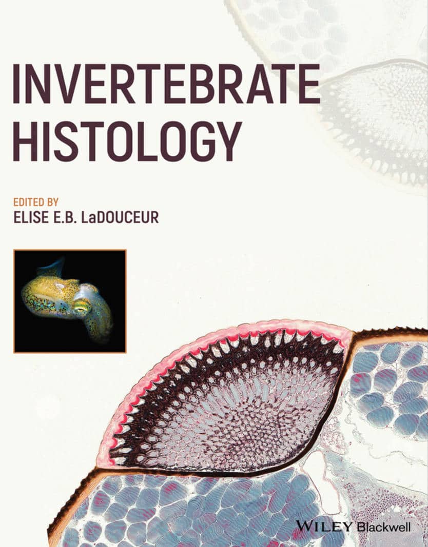 invertebrate-histology.jpg