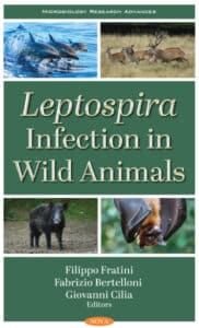 Leptospira Infection In Wild Animals
