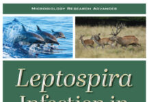 Leptospira Infection in Wild Animals Leptospira Infection in Wild Animals