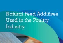 Natural Feed Additives Used in the Poultry Industry