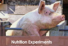 Nutrition Experiments in Pigs and Poultry A Practical Guide