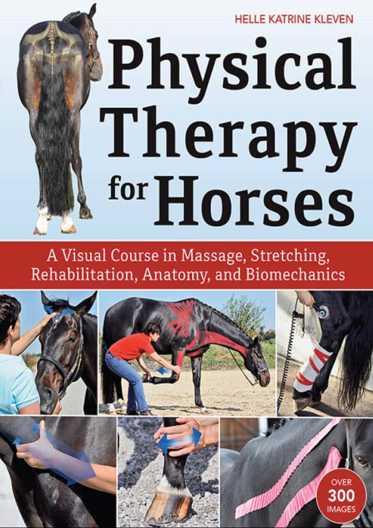 Physical Therapy For Horses: A Visual Course In Massage, Stretching, Rehabilitation, Anatomy, And Biomechanics Pdf Download