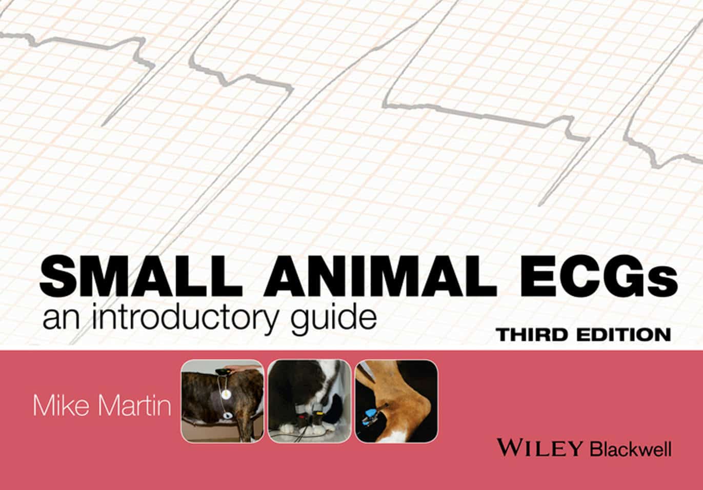 Small Animal Ecgs: An Introductory Guide 3Rd Edition Pdf Download