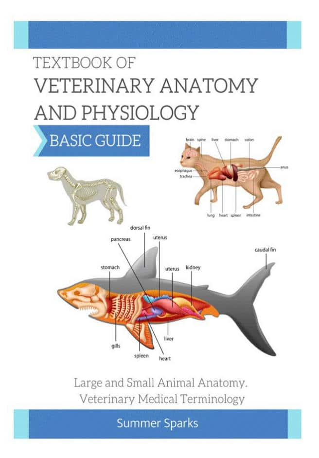 Textbook Of Veterinary Anatomy And Physiology, Basic Guide Pdf Download
