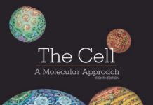 The Cell: A Molecular Approach 8th Edition