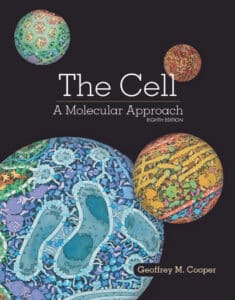 The Cell: A Molecular Approach 8th Edition