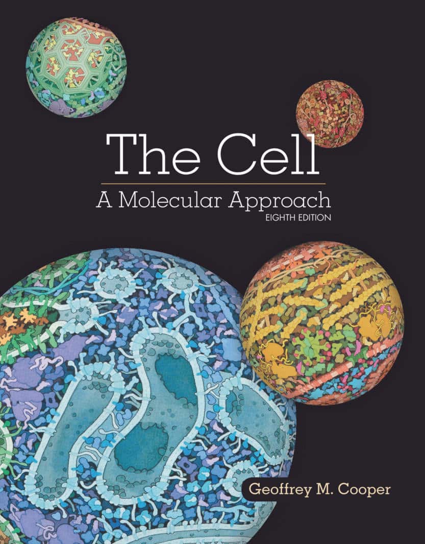 The Cell A Molecular Approach 7Th Edition Pdf Download
