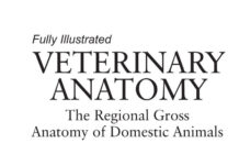 Veterinary Anatomy: The Regional Gross Anatomy of Domestic Animals