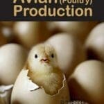 Avian-Poultry-Production-2nd-Revised-and-Enlarged-Edition